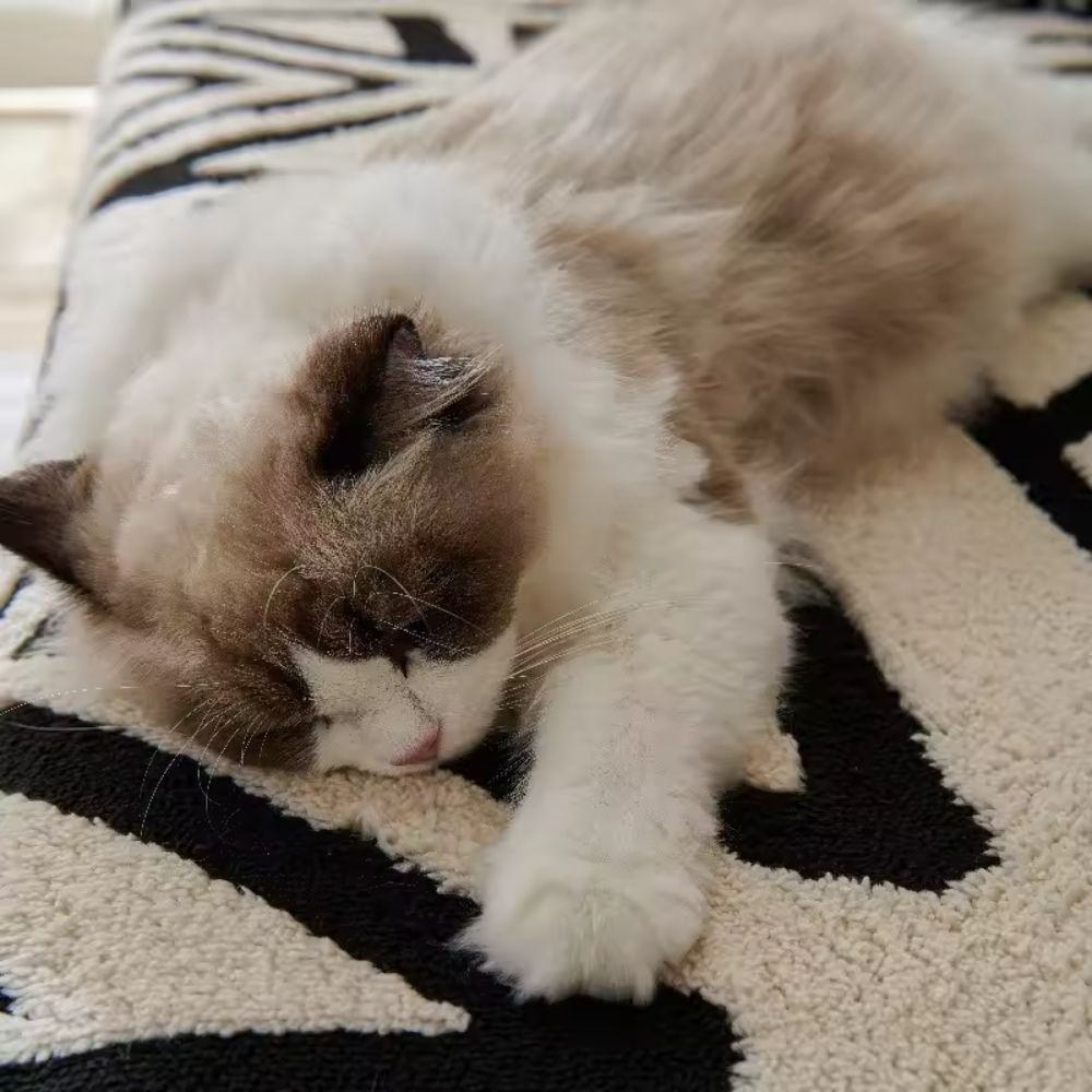 Texture Print Couch Cover